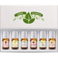 thumbnail image 1 of Fragrance Oils Set of 6 Scented Oils from Good Essential - Banana Oil, Cranberry Oil, Apple Oil, Coconut Oil, French Vanilla Oil, Peach Oil: Aromatherapy, Perfume, Soaps, Candles, Slime, Lot, 1 of 2