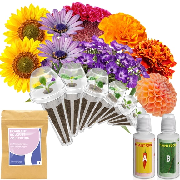 Fragrant Bouquet Flower Seed Pod Kit for AeroGarden, iDoo, Ahopegarden, GARDENCUBE, 7 Pods (350+ Flower Seeds with Sunflower, Mexican Marigold, Cockscomb, French Marigold, Dahlia)
