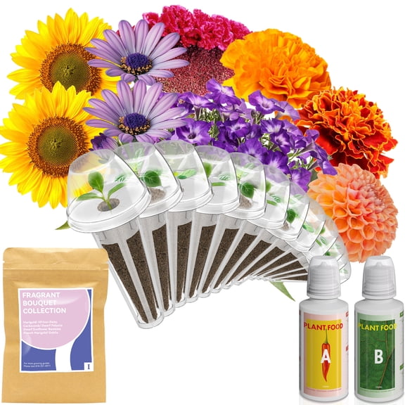 Fragrant Bouquet Seed Pod Kit for AeroGarden, iDoo, Ahopegarden, GARDENCUBE, 12 Pods (350+ Flower Seeds with Sunflower, Petunia, Mexican Marigold, Cockscomb, French Marigold, Dahlia)