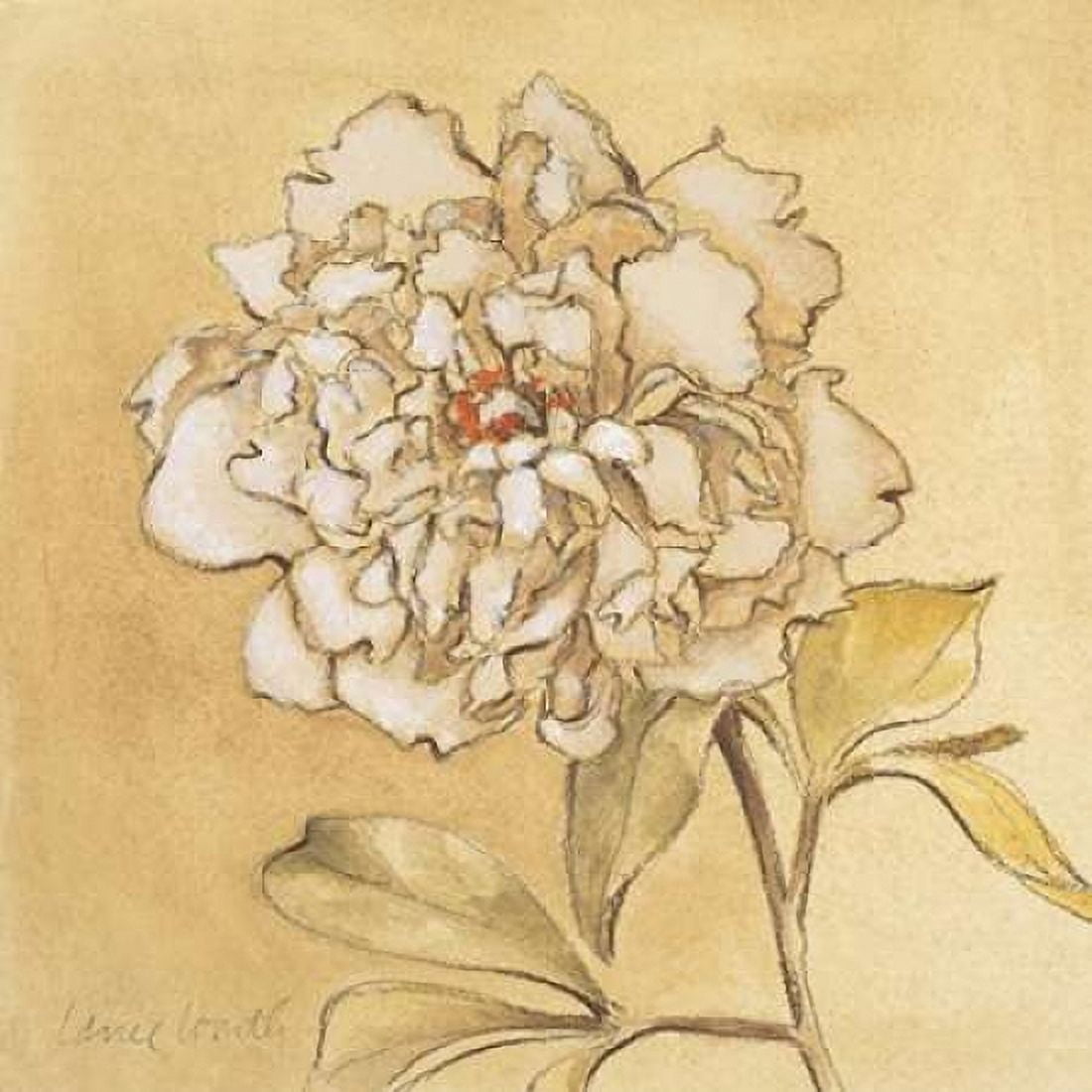 Fragrant Notes II Canvas Art - Lanie Loreth (24 x 24)