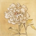thumbnail image 1 of Fragrant Notes II Poster Print by Lanie Loreth (12 x 12), 1 of 2