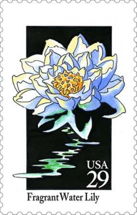 Fragrant Water Lily Canvas Art - US POSTAL SERVICE (24 x 36)