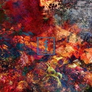 Frail Body - Artificial Bouquet - Music & Performance - CD