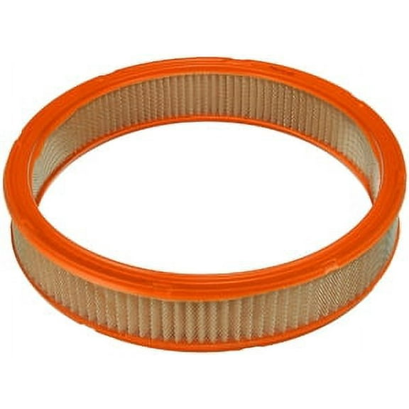 Fram CA342 Air Filter, OE Replacement Fits select: 1972-1979 PONTIAC FIREBIRD, 1971-1974 OLDSMOBILE CUTLASS SUPREME