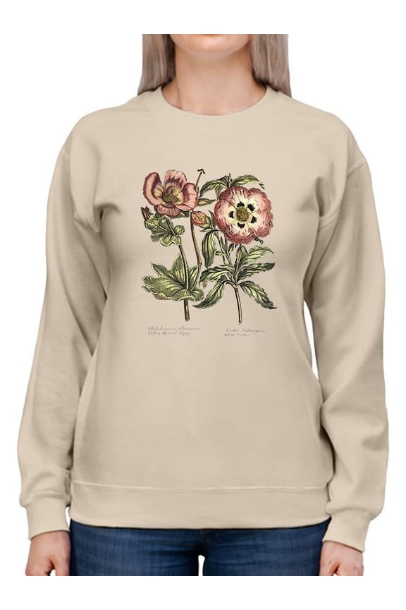 Framboise Floral Iv Sweatshirt Women -Sydenham Edwards Designs, Female Small