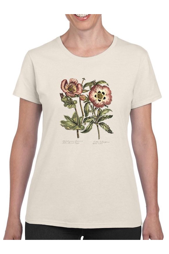 Framboise Floral Iv T-Shirt Women -Sydenham Edwards Designs, Female 3X-Large