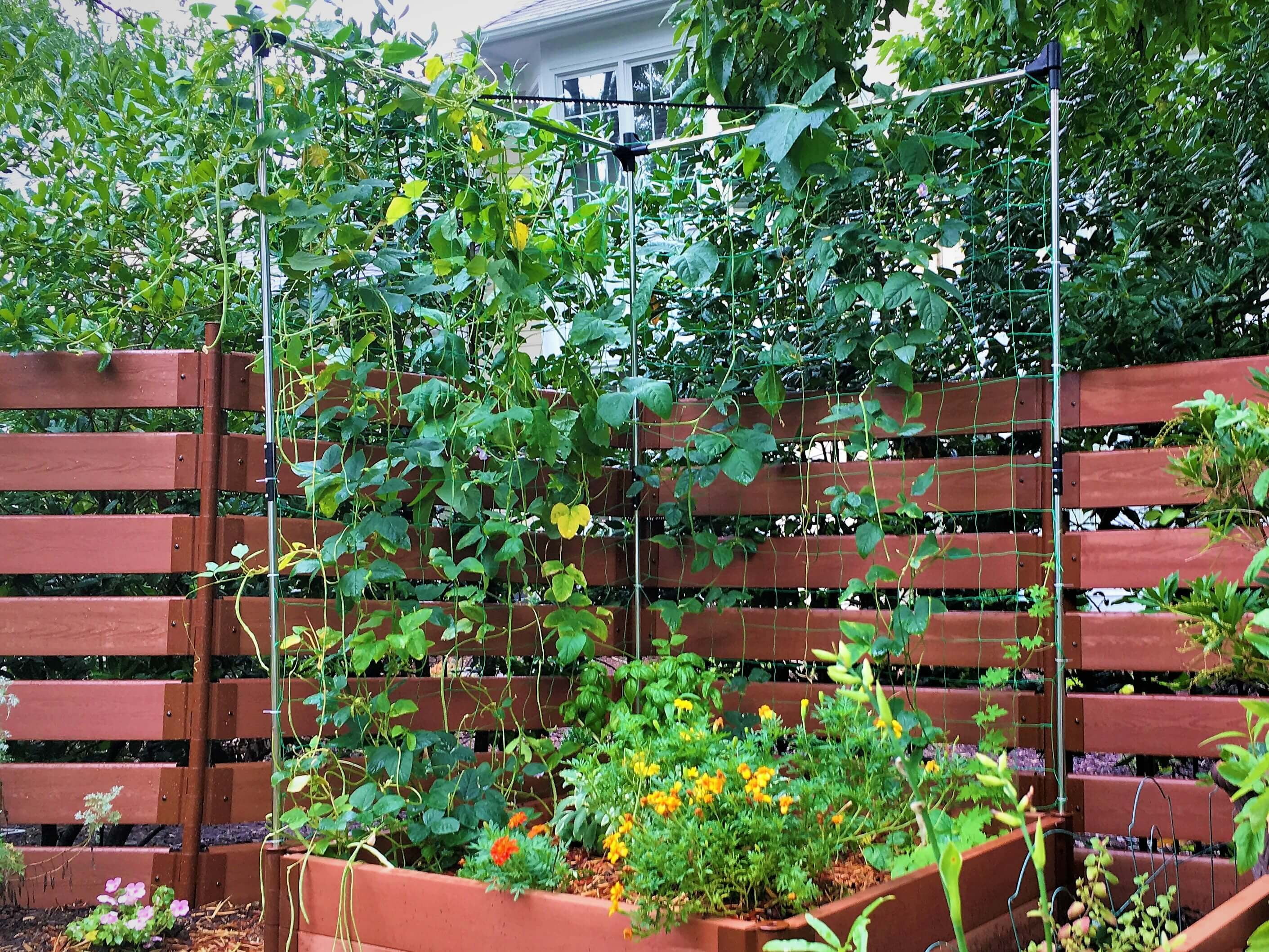 48'' x 48'' Stainless Steel Raised Garden Bed Trellis Kit