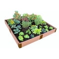 thumbnail image 1 of Frame It All Tool-Free Classic Sienna Raised Garden Bed 8' x 8' x 11" - 2" profile, 1 of 13