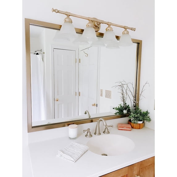 Frame My Mirror Framed Mirror, Champagne Bronze Finish, 20" x 36", 1-1/4" Wide Frame Ellis Design