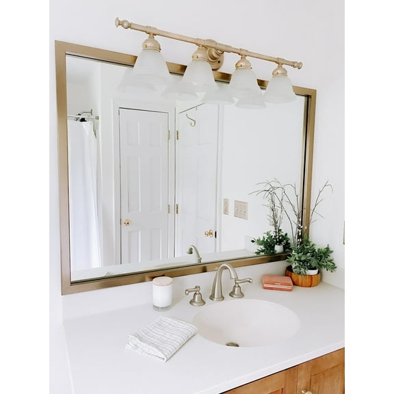 Frame My Mirror Framed Mirror, Champagne Bronze Finish, 28" x 60", 1-1/4" Wide Frame Ellis Design
