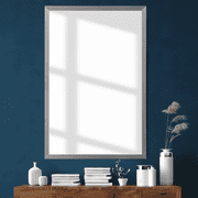 Frame My Mirror Framed Mirror, Stainless Steel Finish, 20 x 24, 1-1/4 Wide Frame Ellis Design