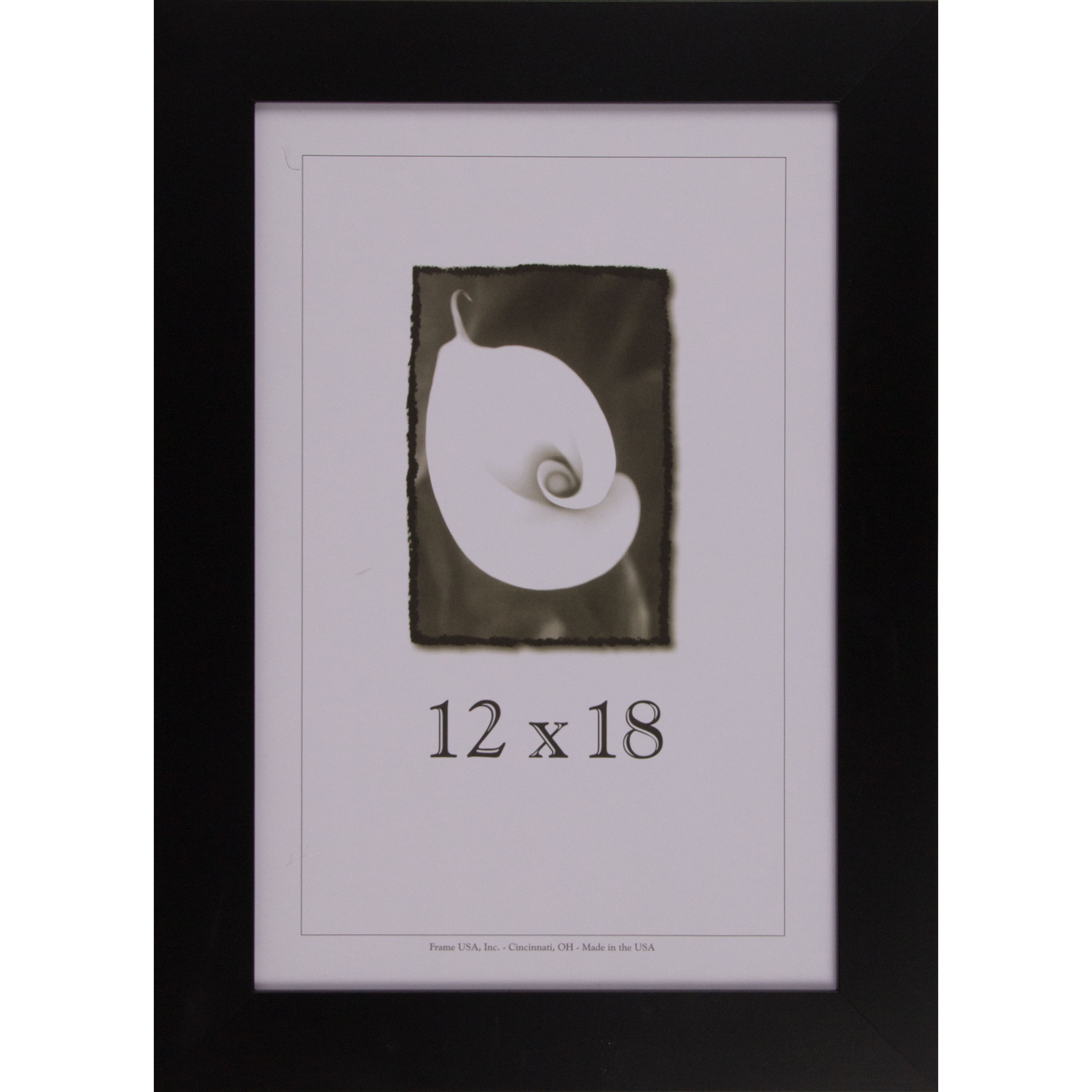 Frame USA 12" x 18" Glass/Wood Picture Frames, Black