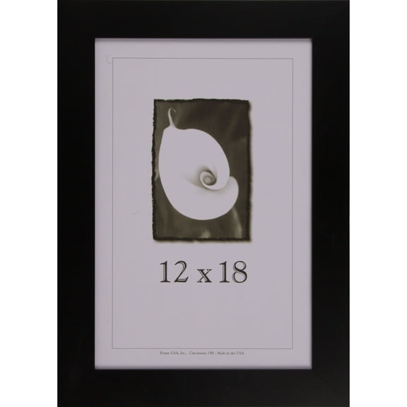 Frame USA 12" x 18" Glass/Wood Picture Frames, Black