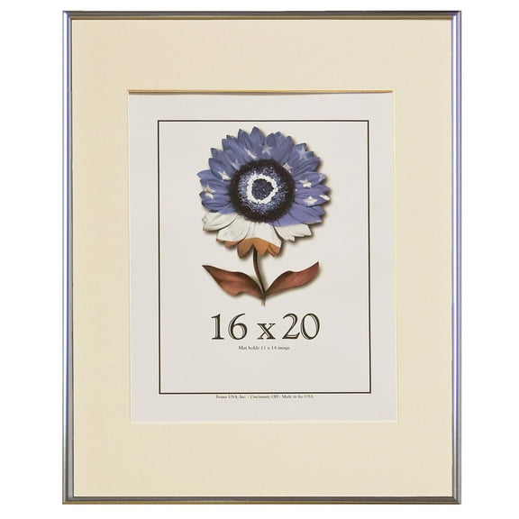 Frame USA 16" x 20" Aluminum Picture Frames, Silver