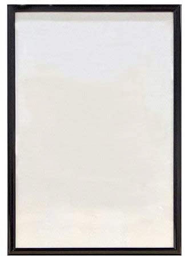 Frame USA 20x30 Deluxe Polystyrene Plastic Poster Frames Black Multiple