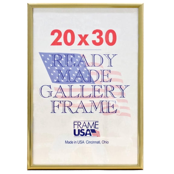 Frame USA 20x30 Gold Deluxe 1-Opening Picture Frame