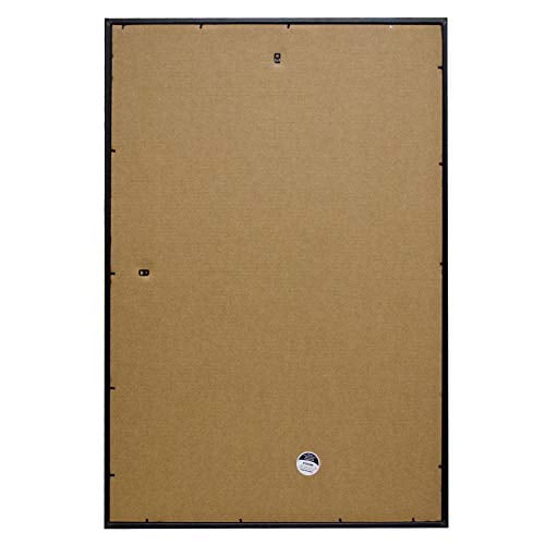 Frame USA 27x41 Deluxe Polystyrene Plastic Poster Frames (Gold), Made in America