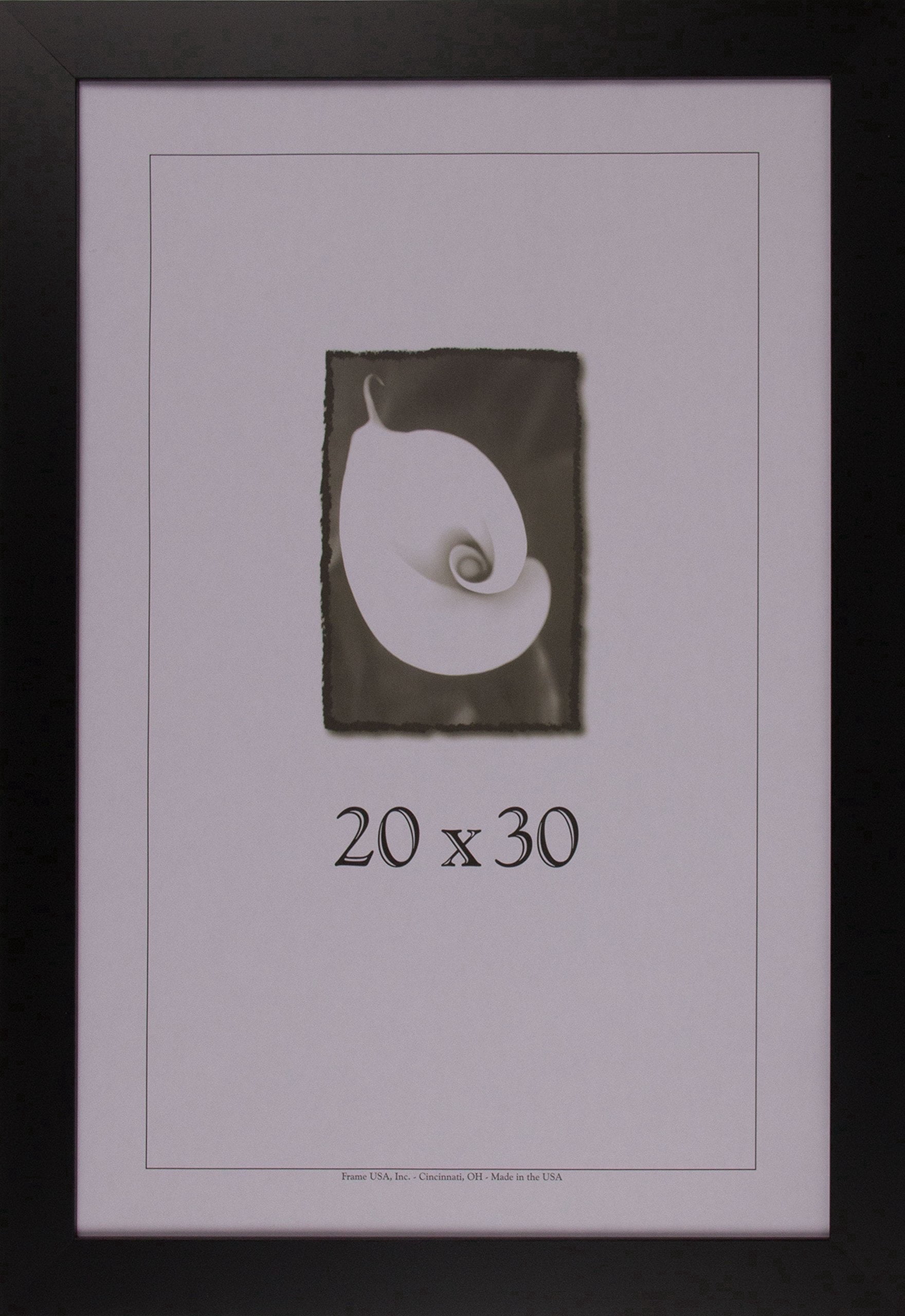 Frame USA 30" x 20" Photo Paper/Wood Picture Frames, Black
