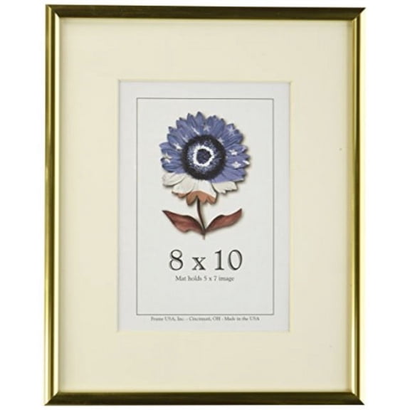 Frame USA 8" x 10" Aluminum/Glass Picture Frames, Gold
