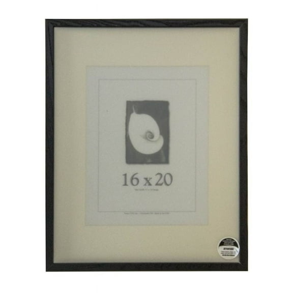 Frame USA Architect Matted Picture Frame 17.25W 4.5H
