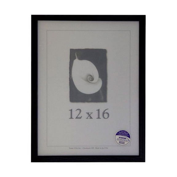 Frame USA Architect Picture Frame 13.125W 4.5H