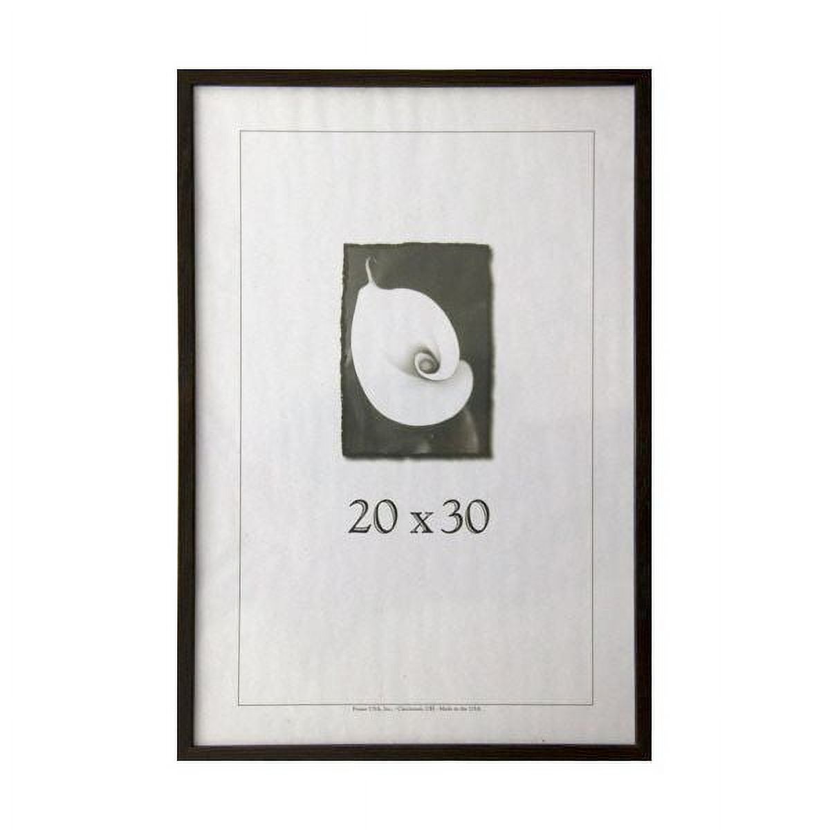 Frame USA Architect Picture Frame 21.125W 2.625H