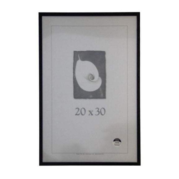 Frame USA Architect Picture Frame 21.125W 4H
