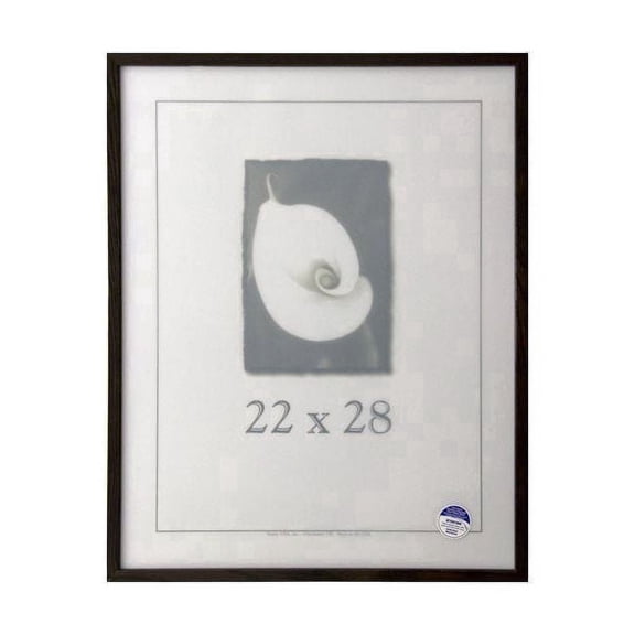Frame USA Architect Picture Frame 23.125W 2.625H