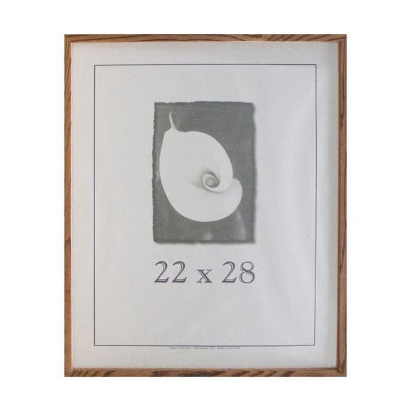 Frame USA Architect Picture Frame 23.125W 4H
