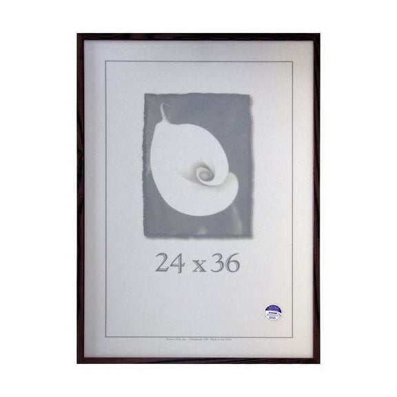 Frame USA Architect Picture Frame 25.125W 4H