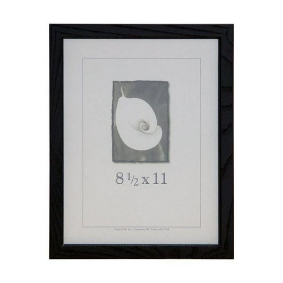 Frame USA Architect Picture Frame 8.75W 4.25H