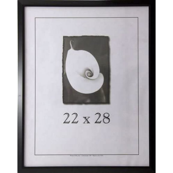 Frame USA Budget Saver Poster Picture Frame (22" x 28", Black)