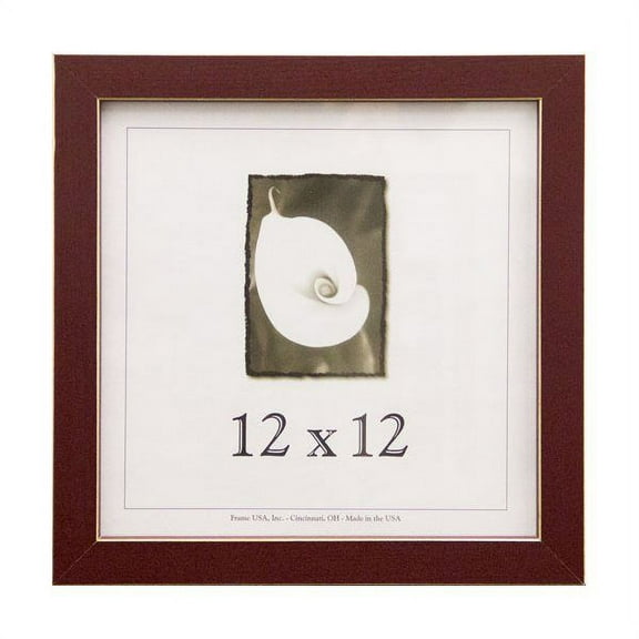Frame USA Clean Cut Picture Frame 13.75W 4H