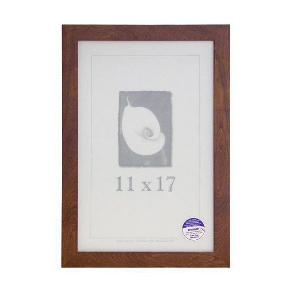 Frame USA Corporate Picture Frame 12.75W 4.5H