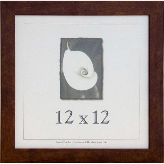 Frame USA Corporate Picture Frame (12 x 12)