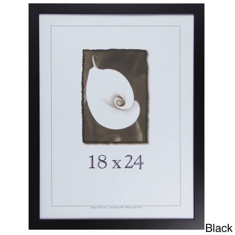 Frame USA Corporate Picture Frame (18-inches x 24-inches)