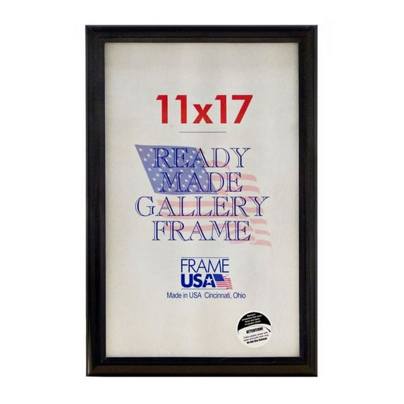 Frame USA Deluxe Poster Frame 12.125W 4H