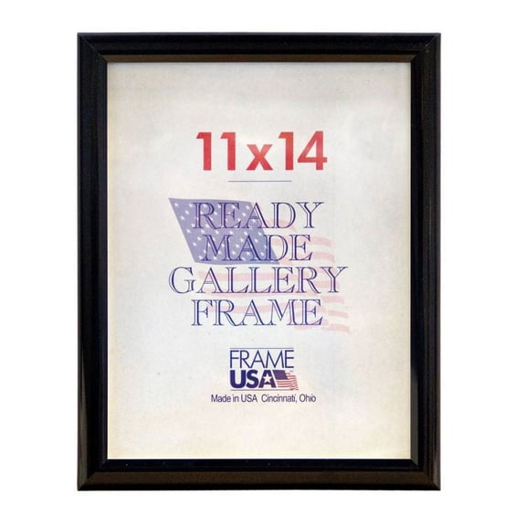 Frame USA Deluxe Poster Frame 12.25W 4.75H