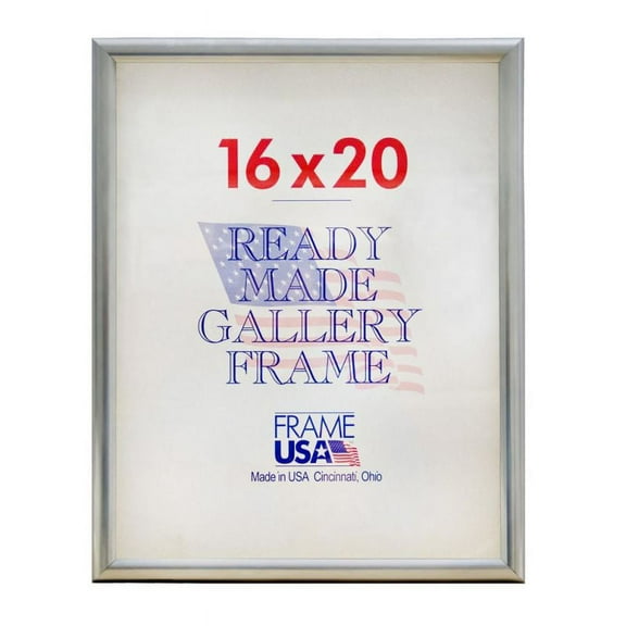Frame USA Deluxe Poster Frame 17.125W 3.875H