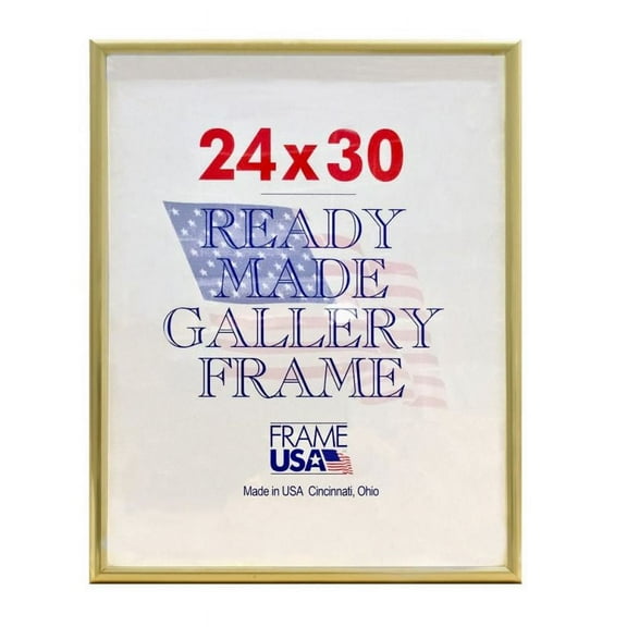 Frame USA Deluxe Poster Frame 25.125W 3.875H