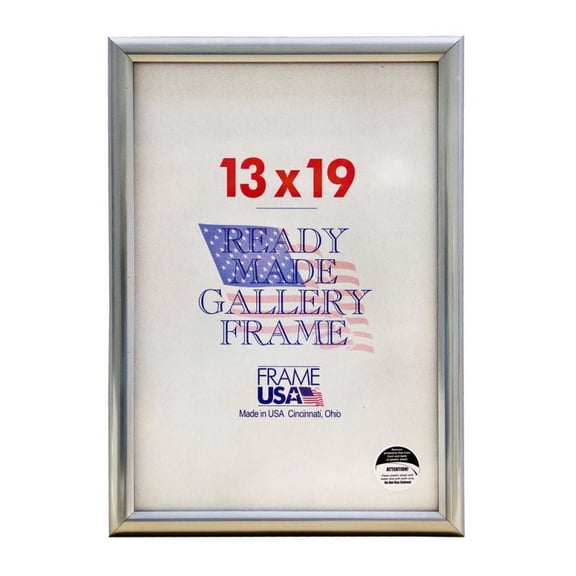 Frame USA Deluxe Poster Frame 4.5H