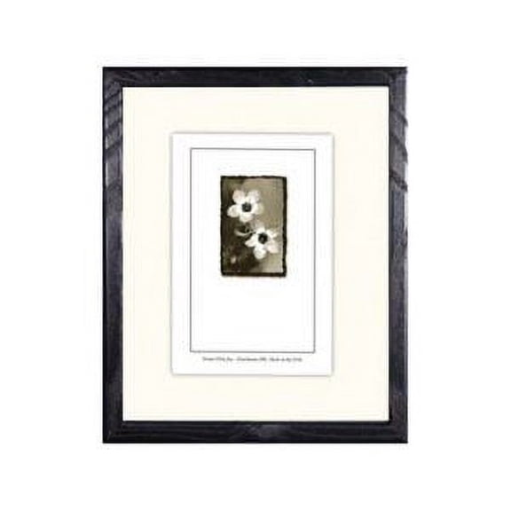 Frame USA Economy Wood Matted Picture Frame 9.25W 4.25H