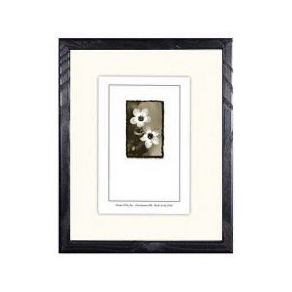 Frame USA Economy Wood Picture Frame 10.125W 4.25H