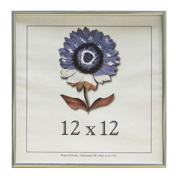 Frame USA Metal I 12-inch x 12-inch Picture Frame
