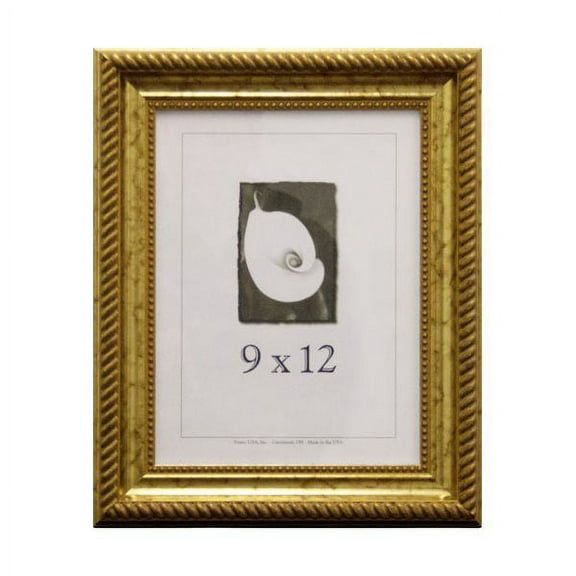 Frame USA Napoleon Picture Frame 12.5W 3.5H