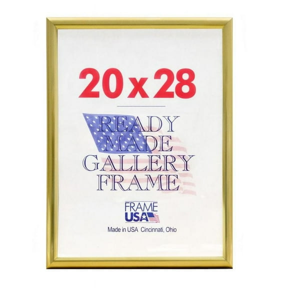Frame USA Poster, 20 in x 28 in