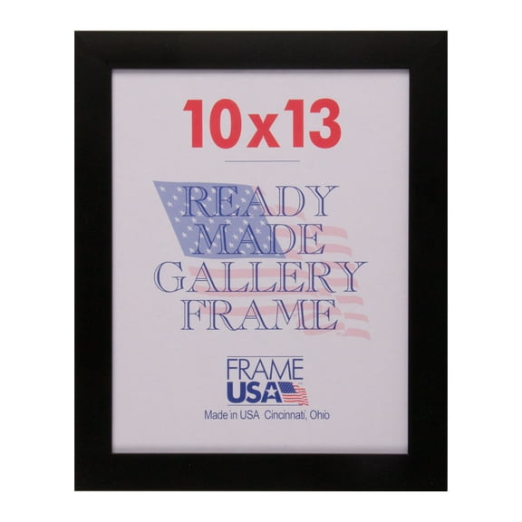 Frame USA Simply Poly Posterframe (10 x 13 inches)