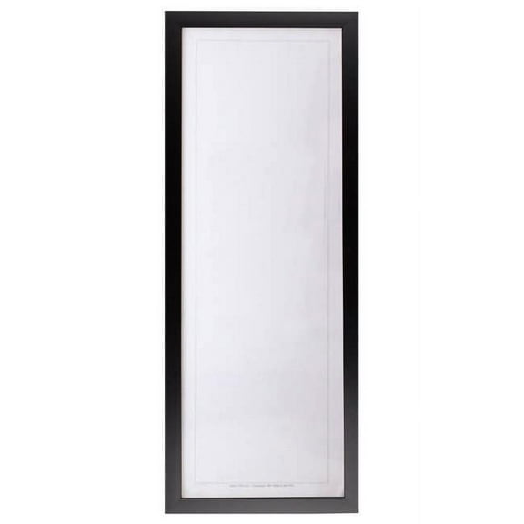 Frame USA Simply Poly Posterframe (12 x 36 inches)