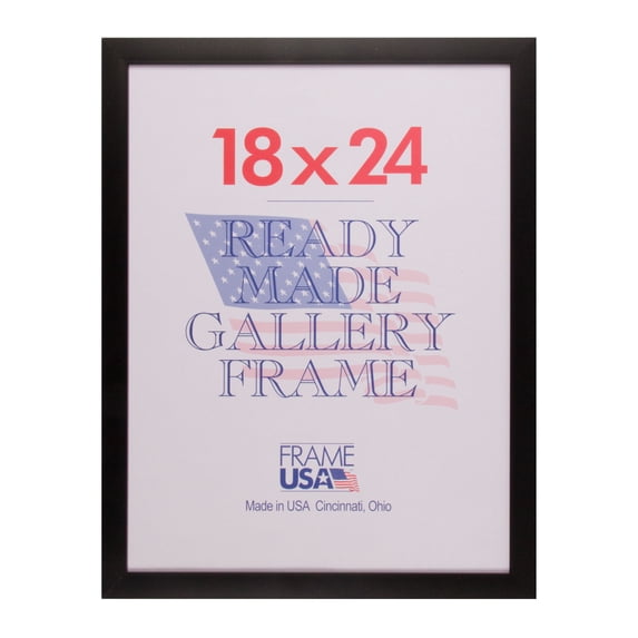 Frame USA Simply Poly Posterframe (18 x 24 inches)