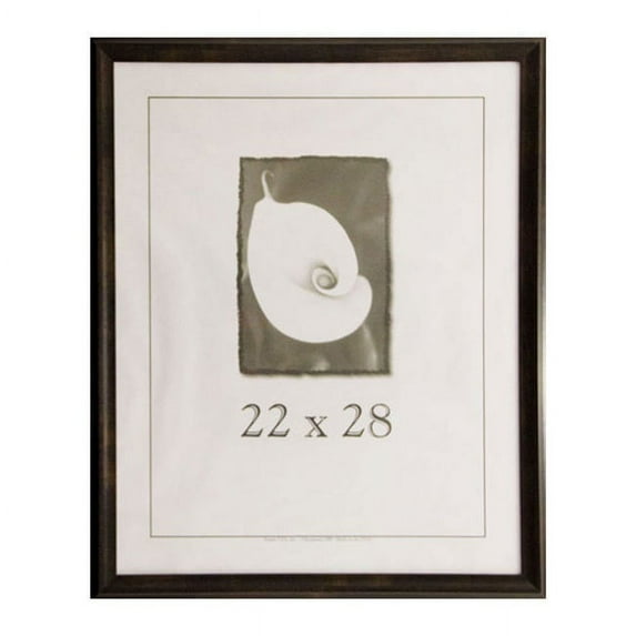 Frame USA Verona Narrow 22-inch x 28-inch Picture Frame